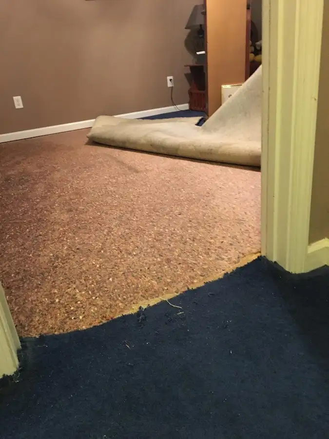 Carpet pad removal revealing water damage during Water Mitigation Services in Sheridan