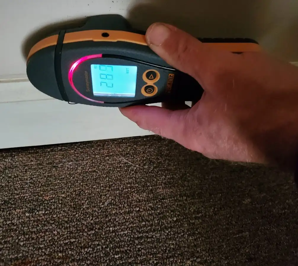 Moisture detection at baseboard during Burst Pipe Cleanup in Sheridan